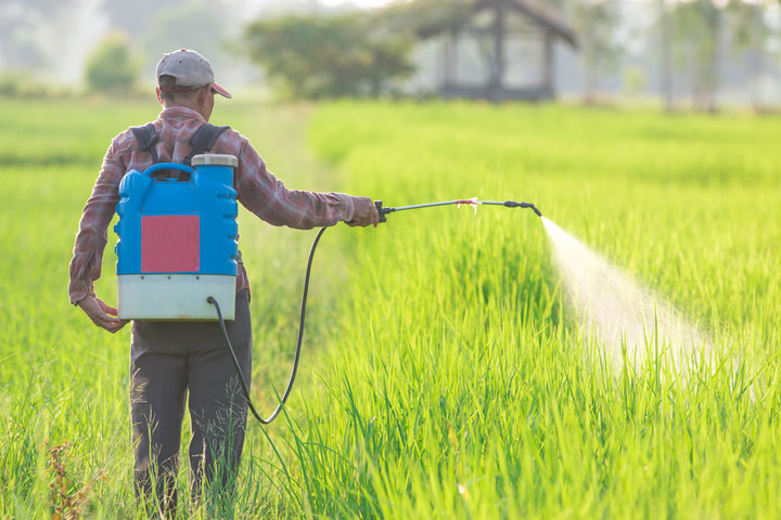 spraying pesticide